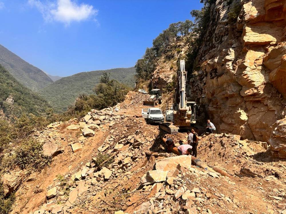 1MxWi3PGw4qk2z1OwGBo.jfif