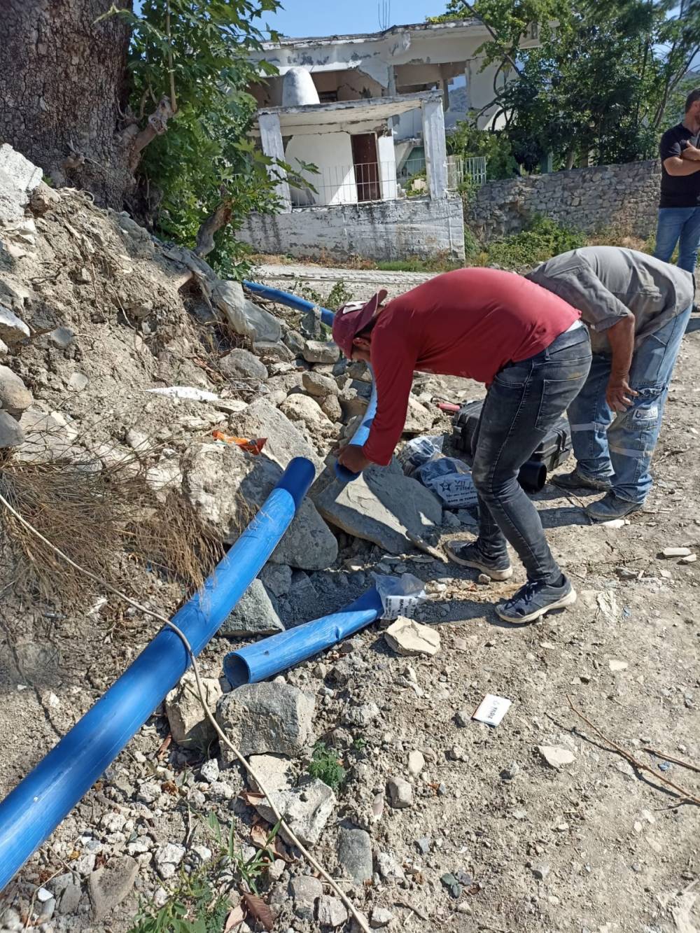 OWmel9ds9jRV7bsGMzRD.jfif