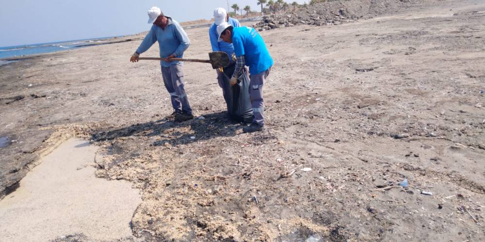 SrTb8VnUBFsle3aN5uaC.jfif