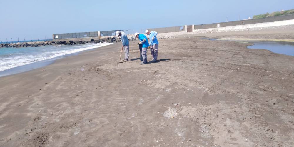 hwFhtH19WzssGc1ha0Go.jfif