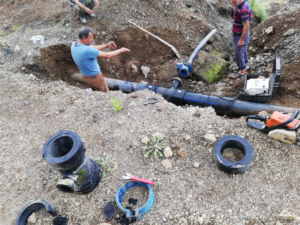 rBJz4ioFF1GFFOgTqseX.jfif