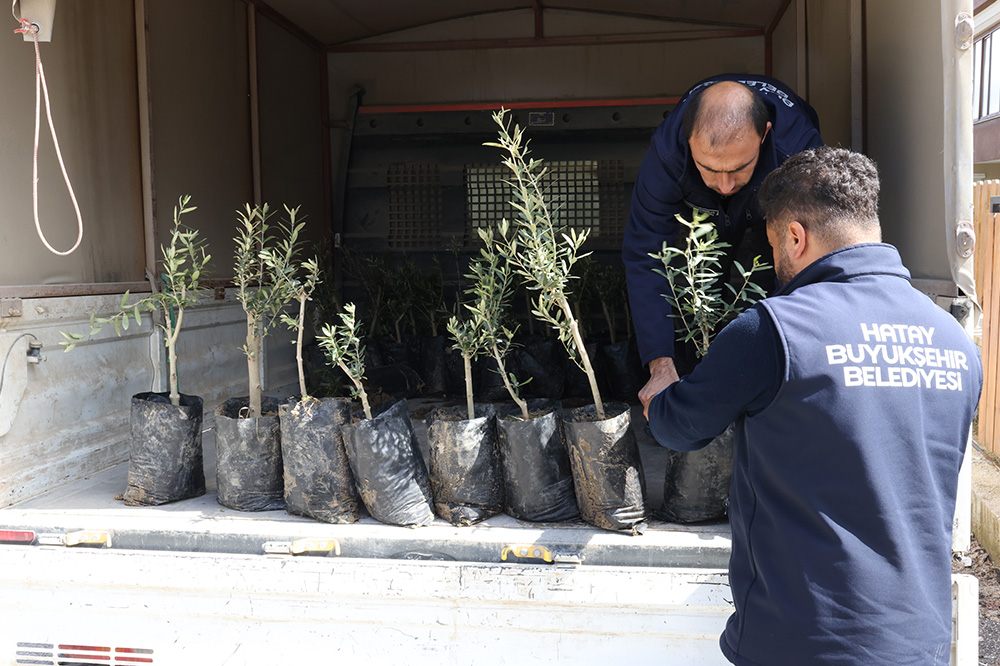 MİNİKLER, HBB İLE OKULLARINI AĞAÇLANDIRIYOR