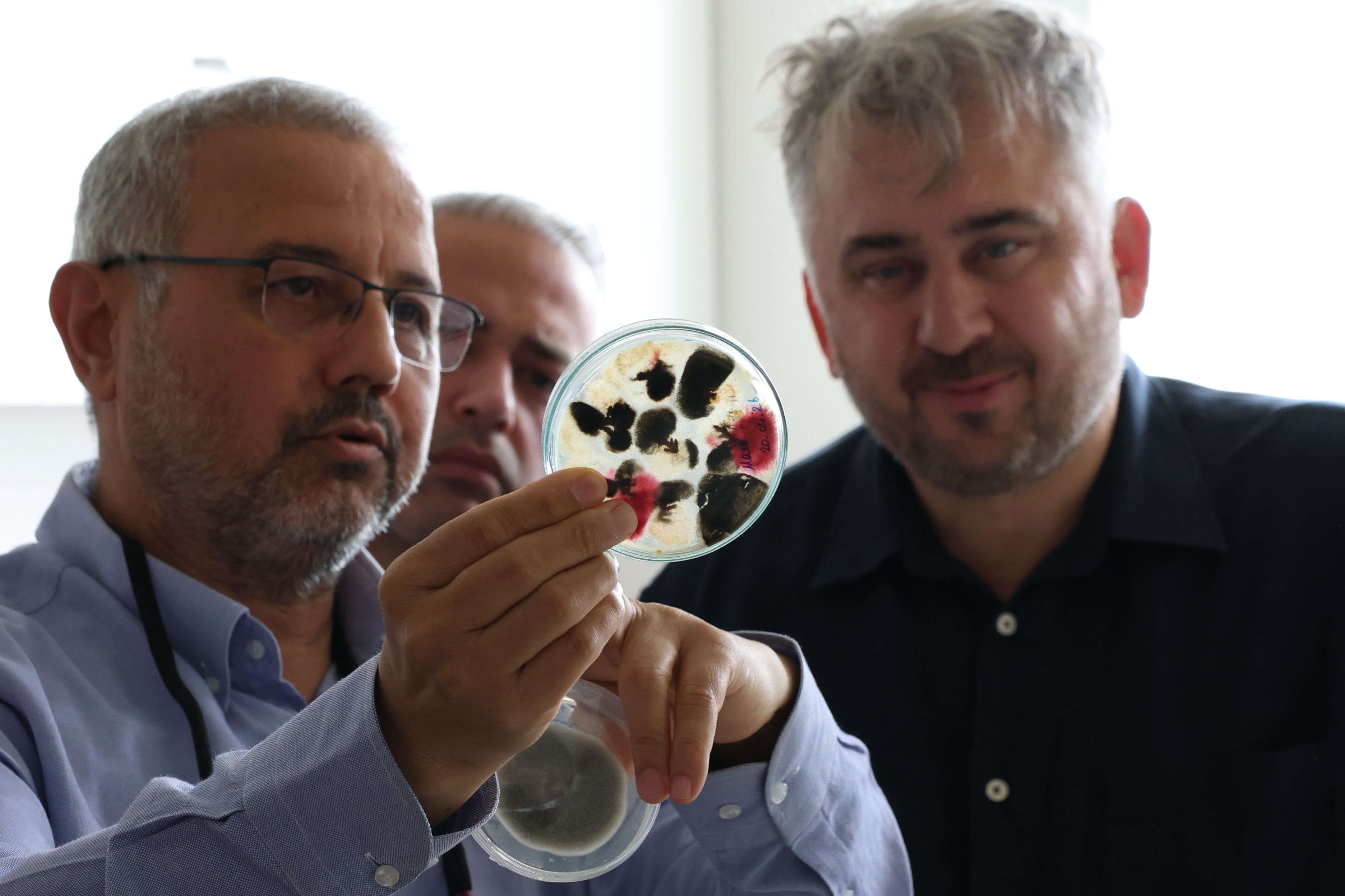 HATAY TARIMINDA HBB VE HMKÜ’DEN GÜÇ BİRLİĞİ