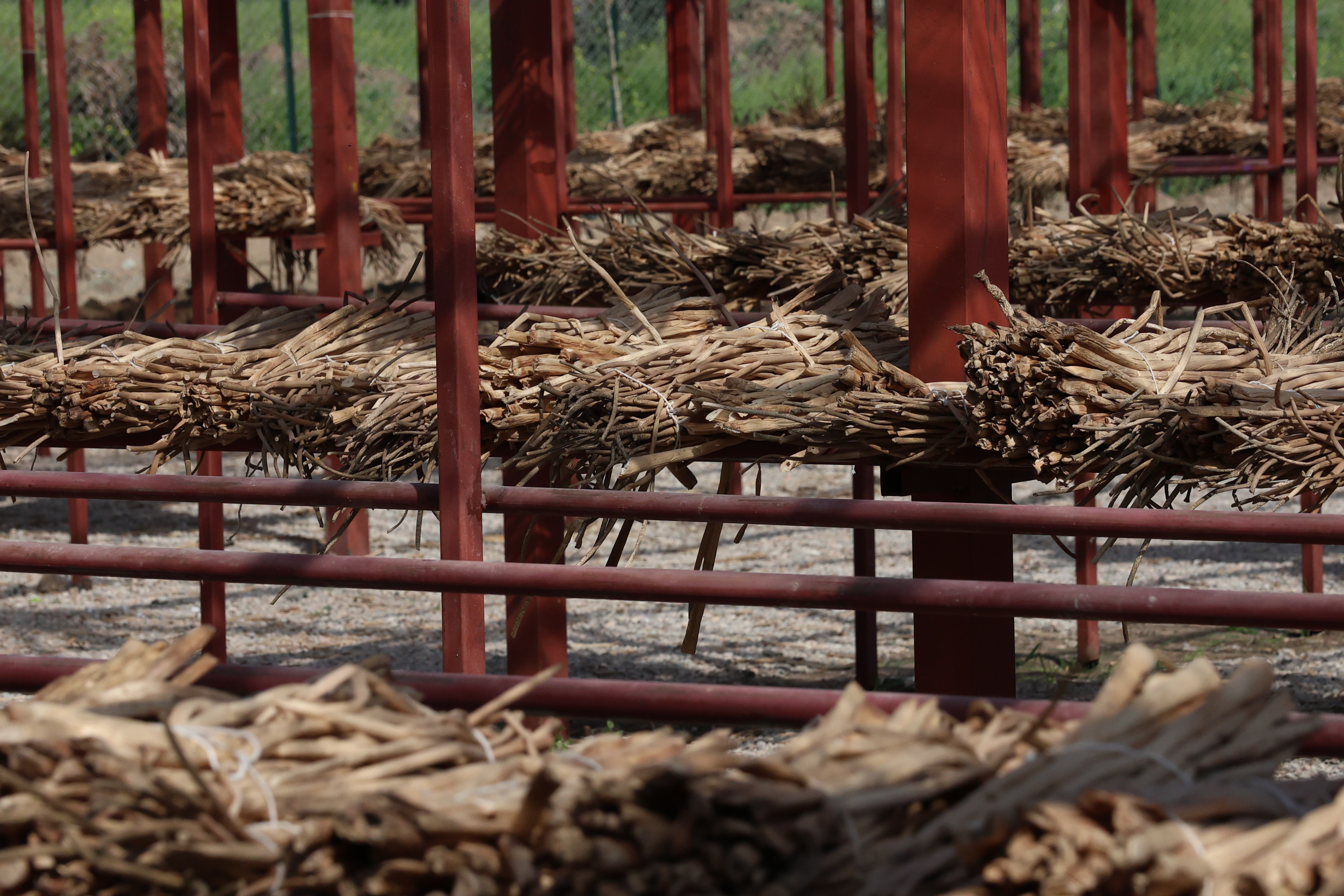 SU SÜMBÜLLERİ İŞLEME MERKEZİ TÖRENLE AÇILDI