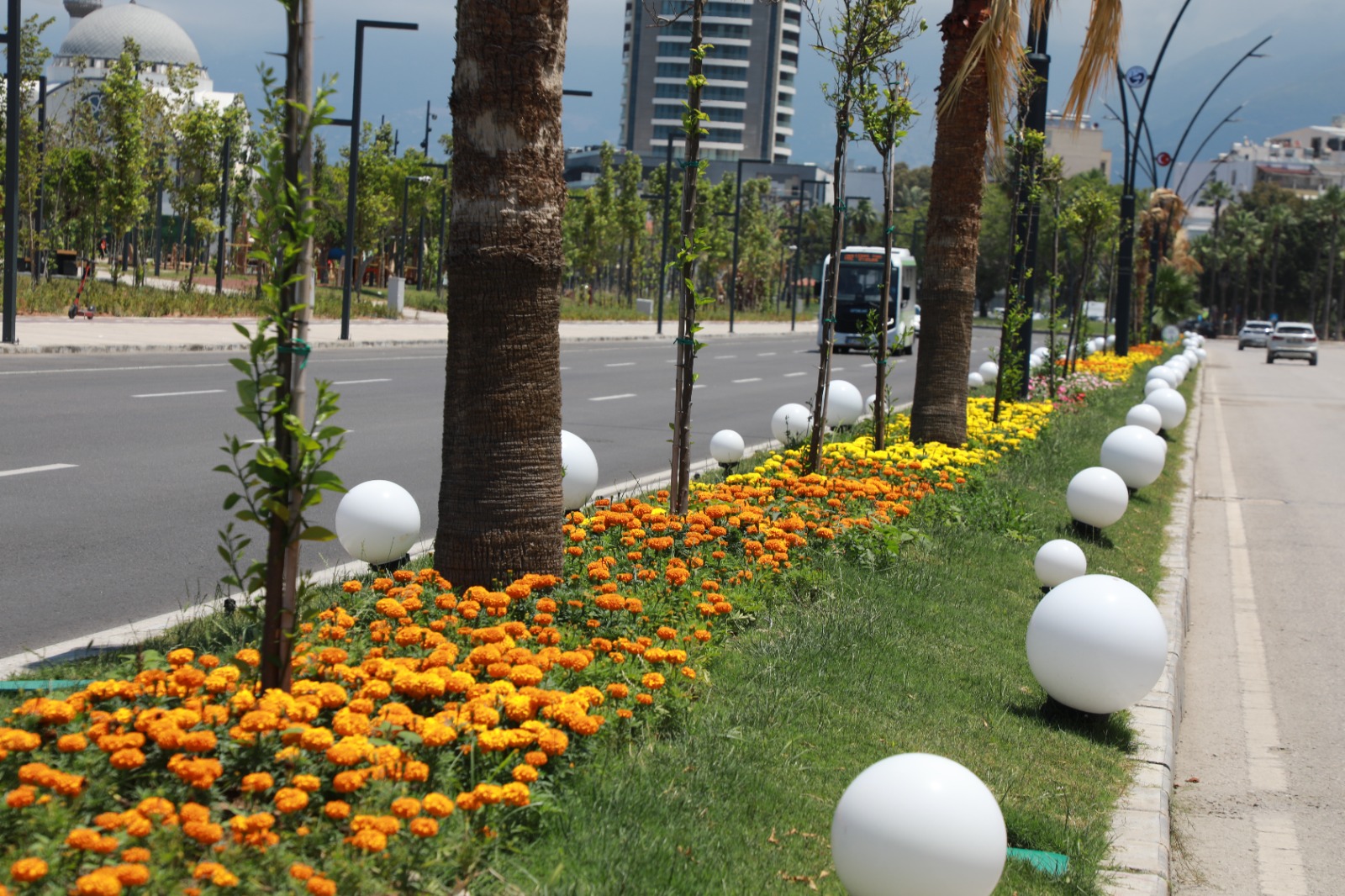 İSKENDERUN SAHİLİ RENKLİ ÇİÇEKLERLE SÜSLENDİ