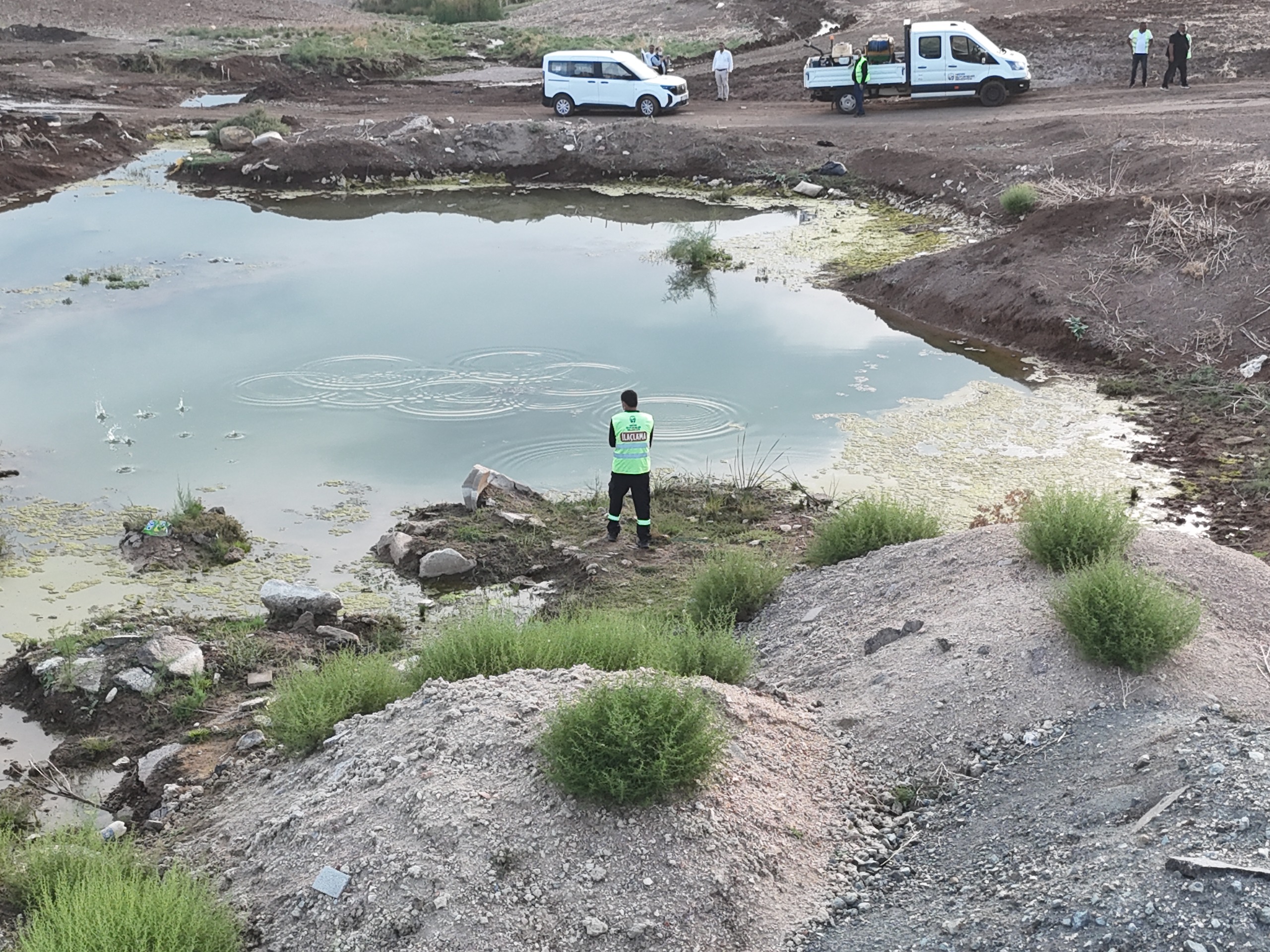 HATAY’DA HAŞERE VE VEKTÖR MÜCADELESİ ARALIKSIZ SÜRÜYOR