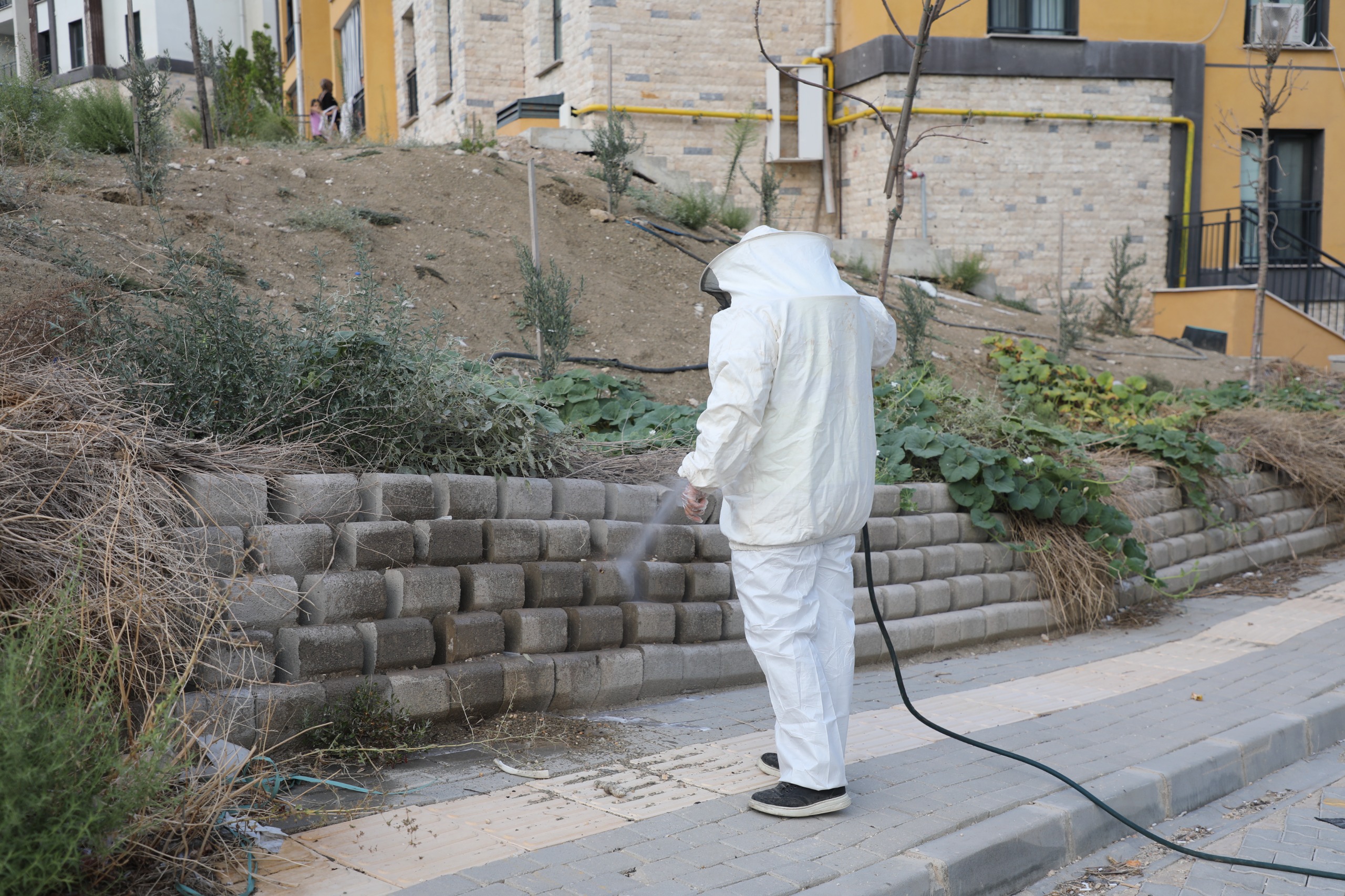 HATAY’DA HAŞERE VE VEKTÖR MÜCADELESİ ARALIKSIZ SÜRÜYOR