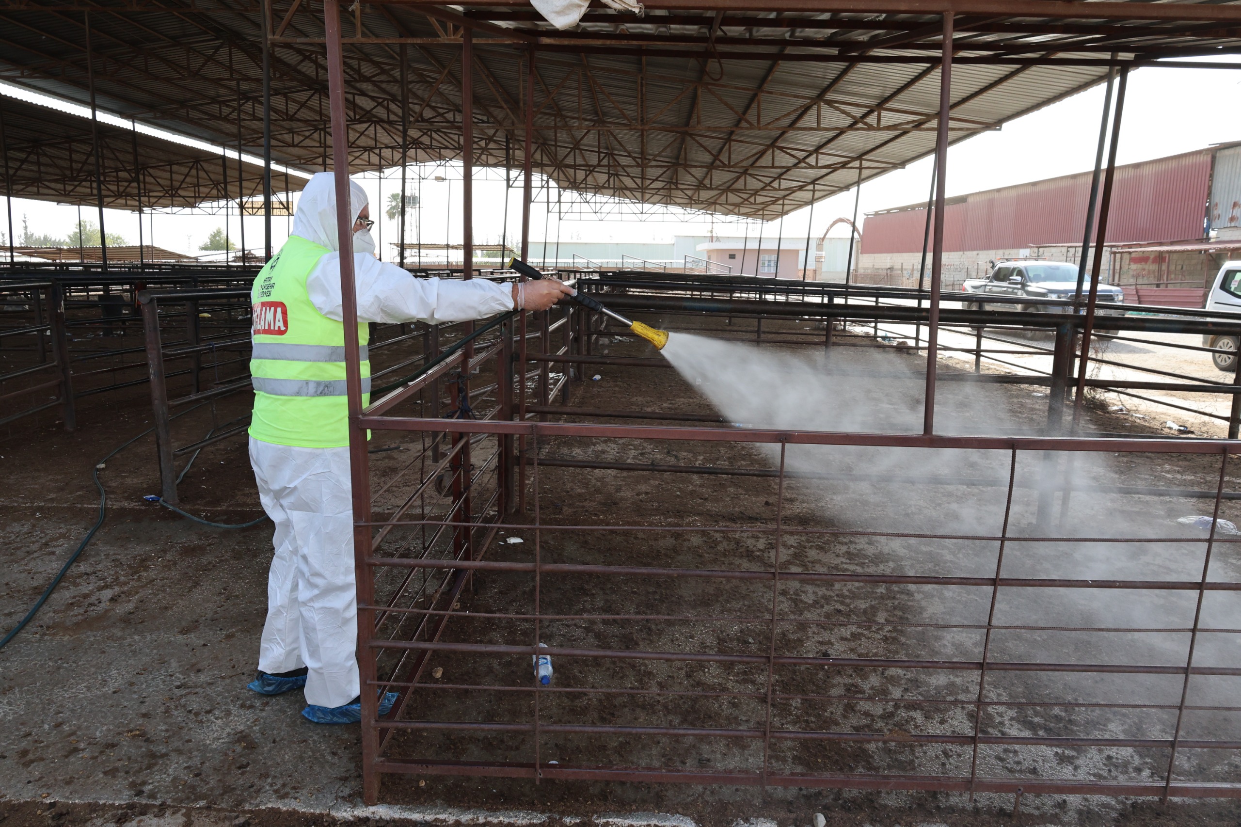 HBB’DEN ŞAP HASTALIĞINA KARŞI KARASİNEK MÜCADELESİ