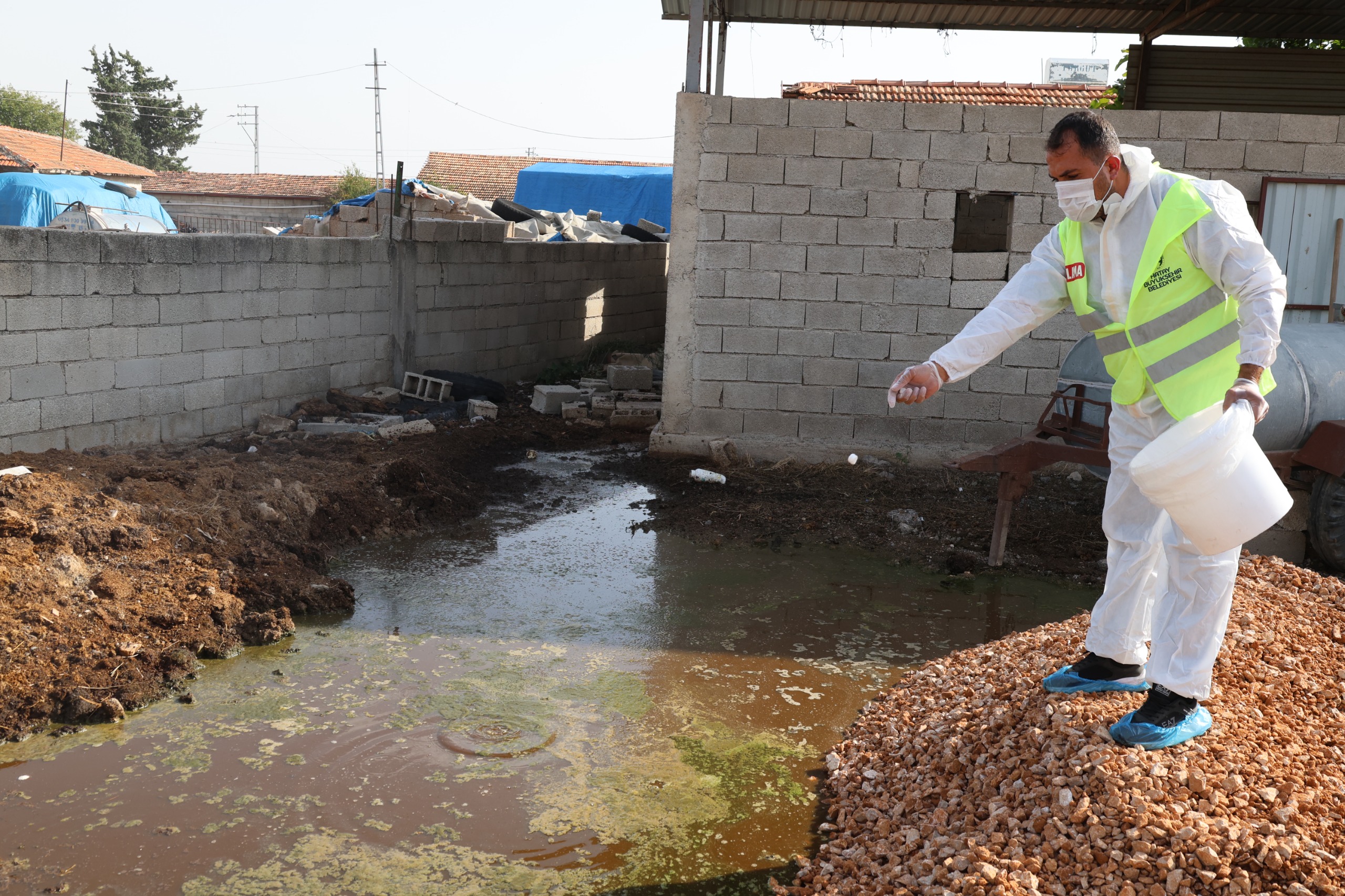 HBB’DEN ŞAP HASTALIĞINA KARŞI KARASİNEK MÜCADELESİ