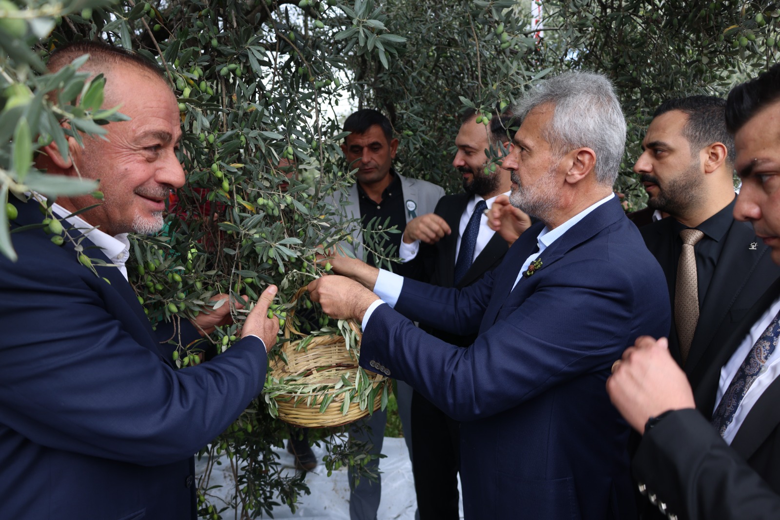 10. ALTINÖZÜ ZEYTİN, ZEYTİNYAĞI VE GASTRONOMİ FESTİVALİ BAŞLADI
